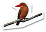 �c���ꑺ�L�O���p��