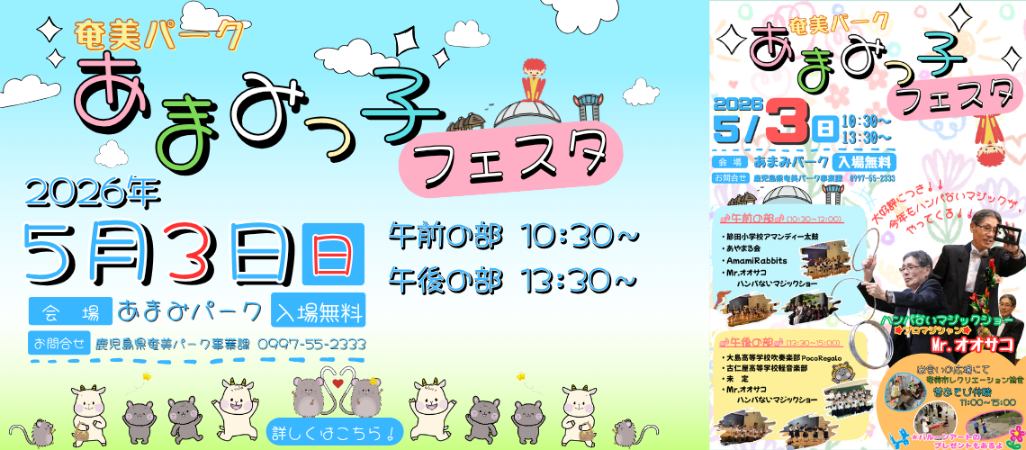 あまみっ子フェスタメタスライダー